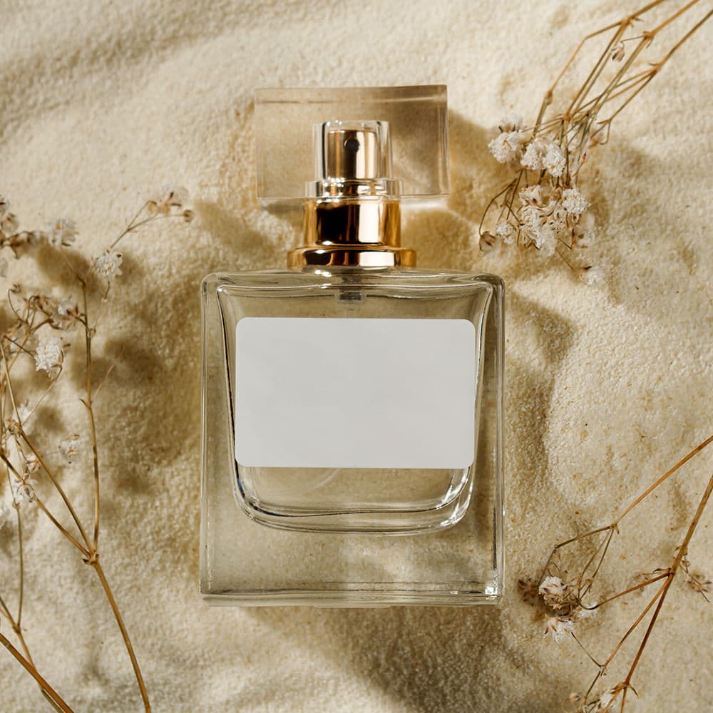 Gucci Bloom Perfume – Unfold the Garden of Fragrance | Fragrance Rich