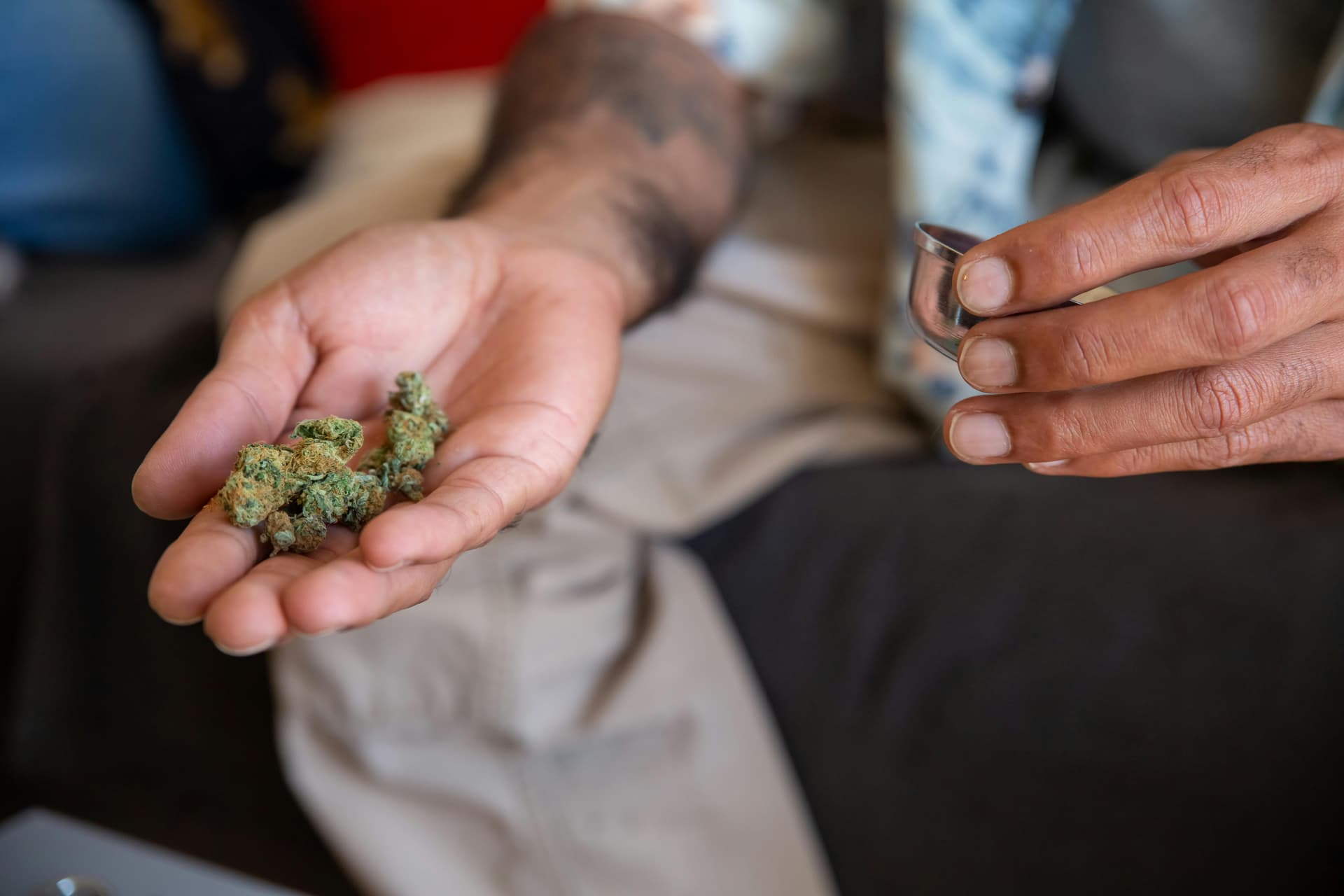 THCA Education for Beginners: Safety, Use, and Regulations