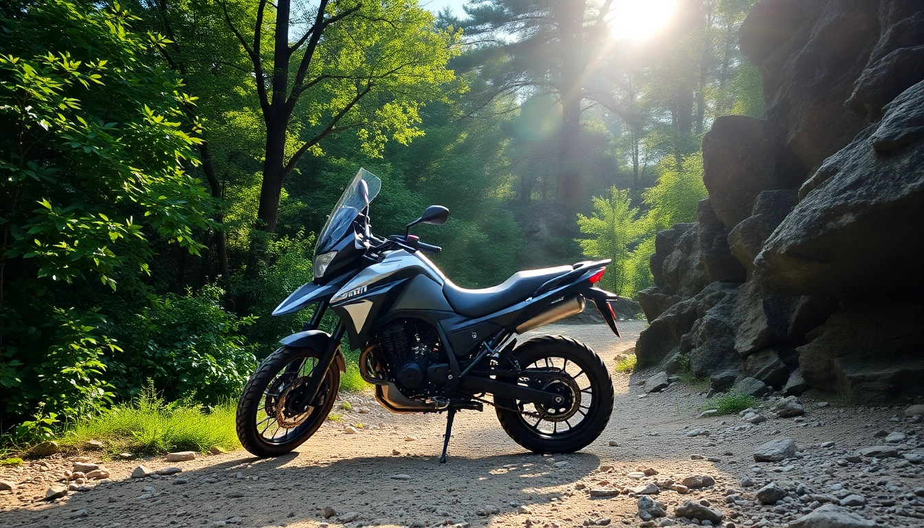 Ride a dual sport street legal motorcycle on rugged trails and vibrant nature.