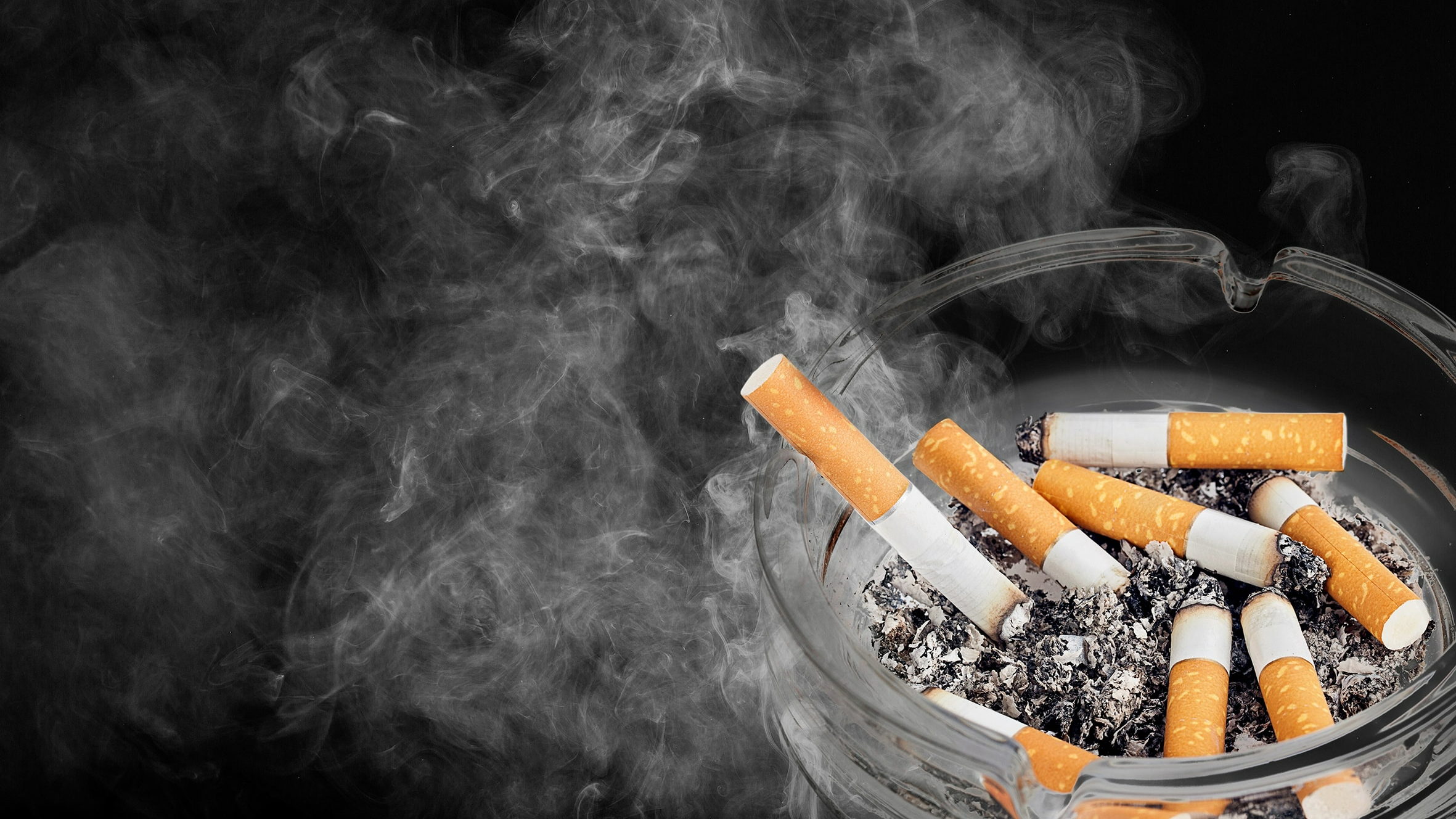 My Native Smokes Provides Native Cigarettes Near Me Every Day