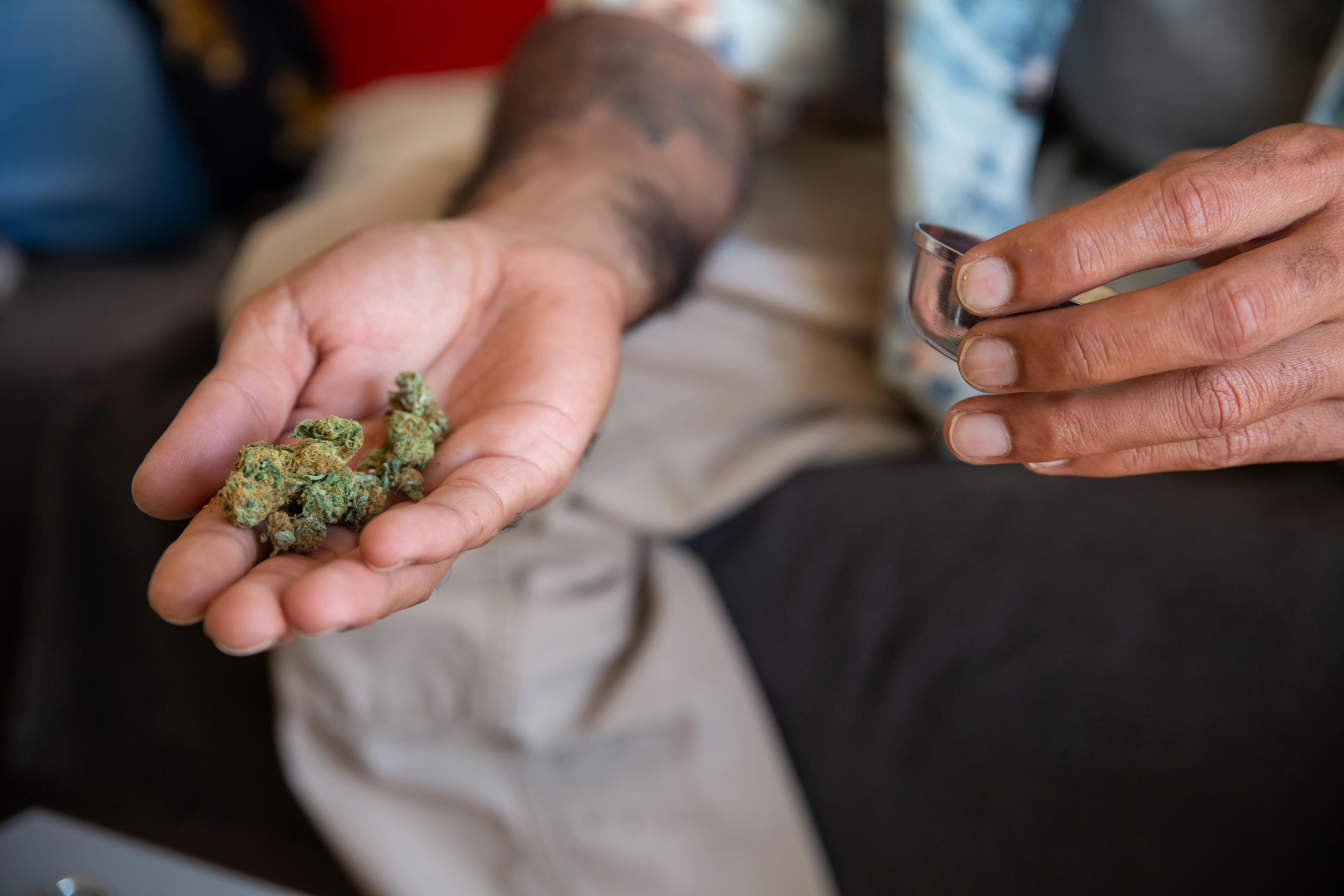 THCA Education for Beginners: Safety, Use, and Regulations