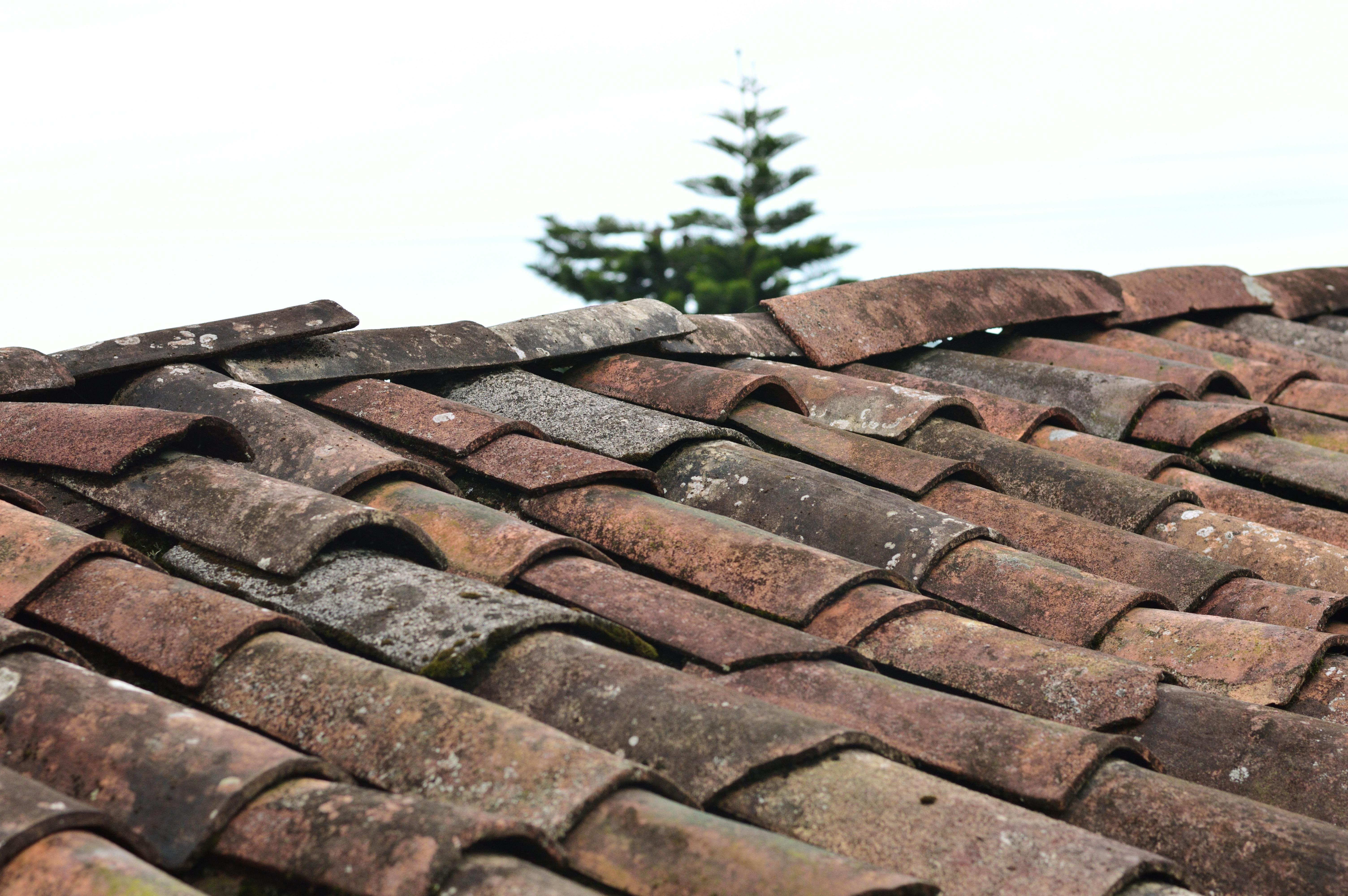 Commercial Roofing Services Backed by a 5-Year Workmanship Warranty