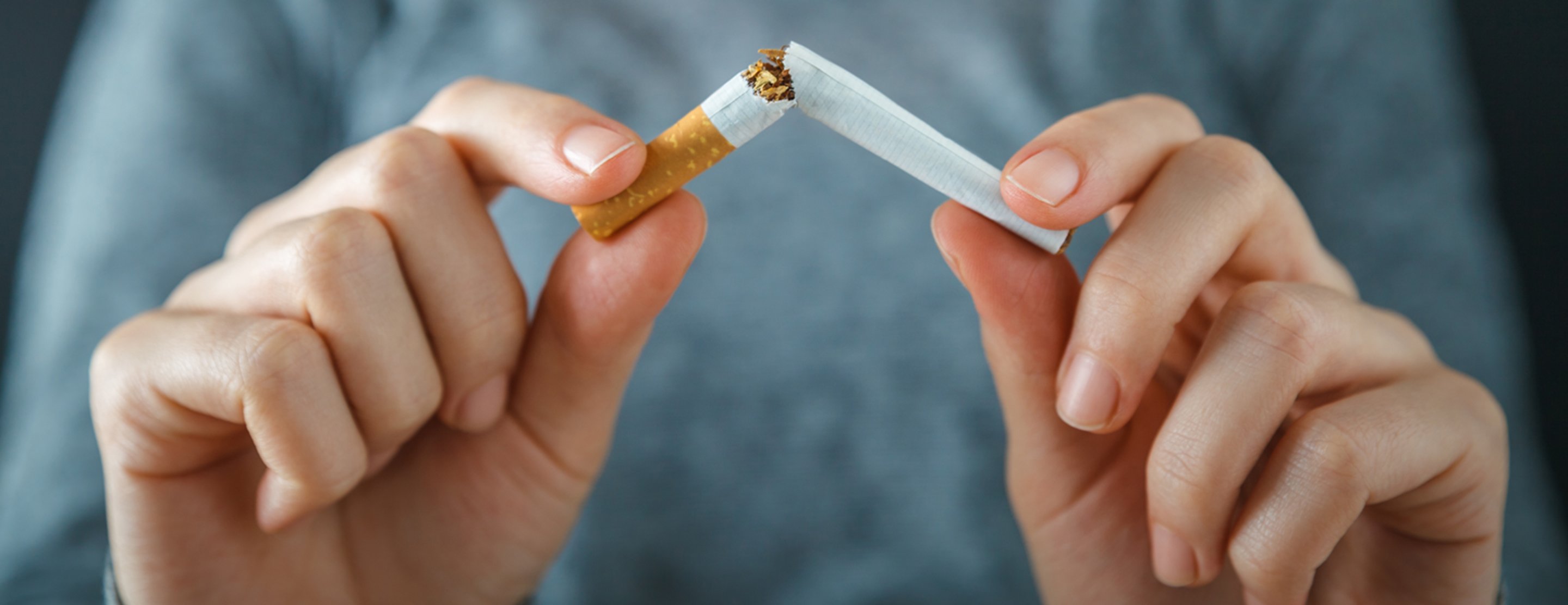 My Native Smokes Ensures Fresh Zyn Pouches Canada Every Time